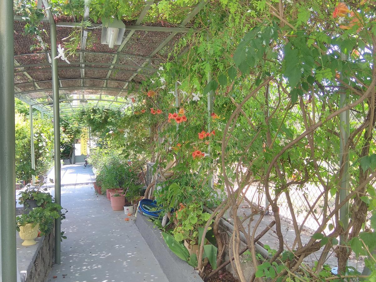 Finikas Rooms Agia Marina  Exterior foto